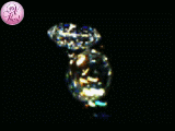 diamond_uj_forgo.gif
